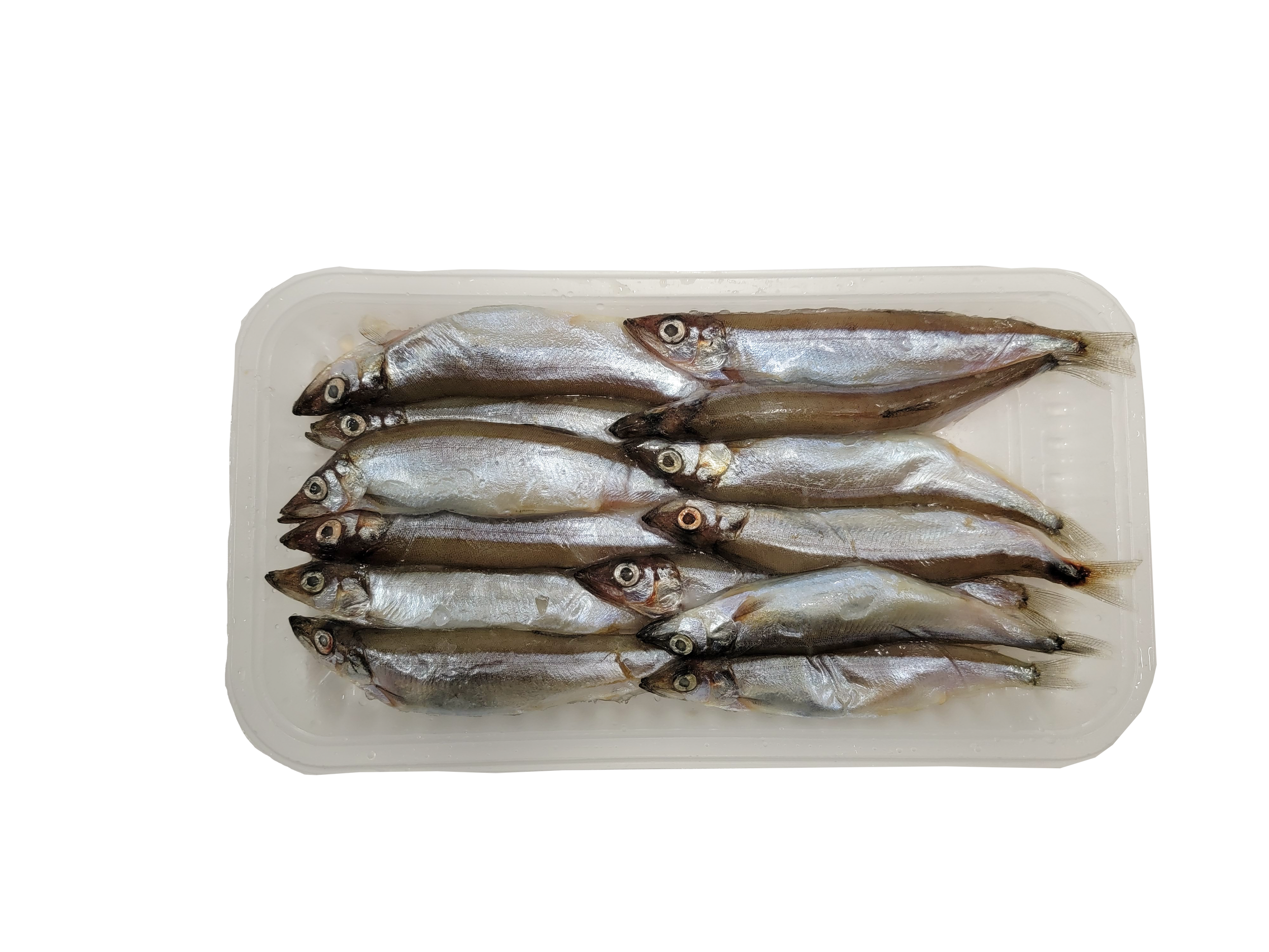 柳葉魚– 新港區漁會黑潮旗跡官方網站